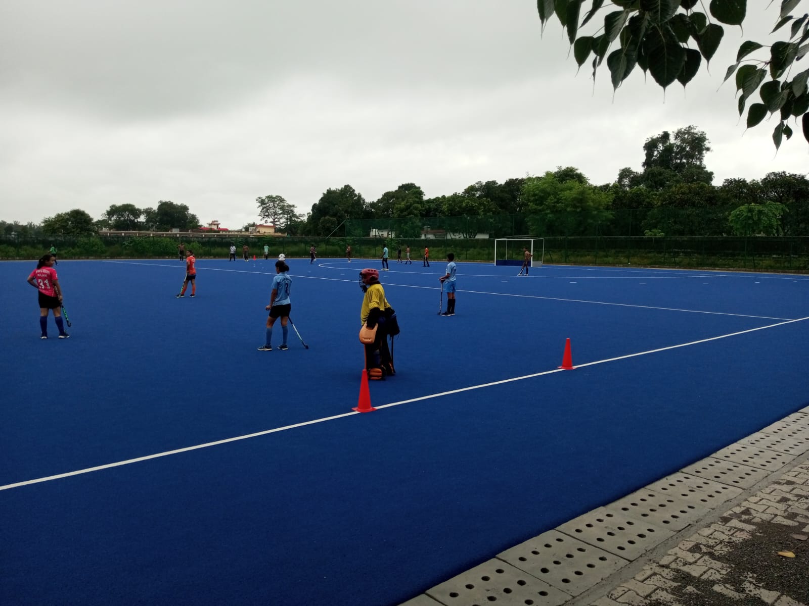 Hockey Astroturf Majra_3